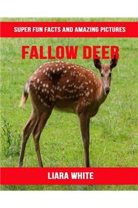 Fallow Deer