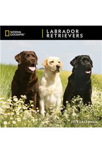 Cal 2021- Ng Labrador Retrievers Wall