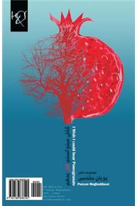 I Wish I Could Bear Pomegranate: Kash Mitavanestam Anar Bedaham