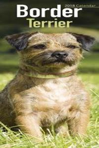 Border Terrier Slim Calendar 2018 (Slim Standard)
