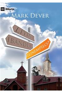 Liyini Ibandla Elinempilo? (What is a Healthy Church?) (Zulu)