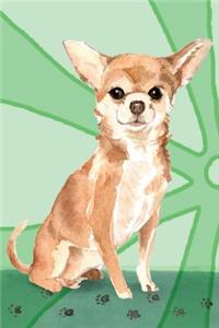Journal Notebook For Dog Lovers, Chihuahua Sitting Pretty 4
