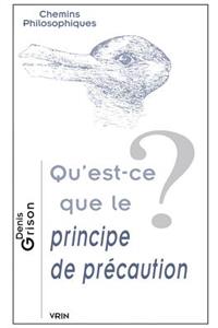 Qu'est-Ce Que Le Principe de Precaution?