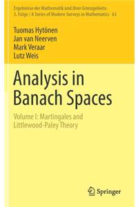 Analysis in Banach Spaces