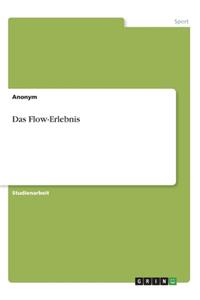 Das Flow-Erlebnis