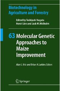 Molecular Genetic Approaches to Maize Improvement