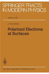 Polarized Electrons at Surfaces