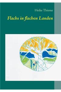 Flachs in Flachen Landen