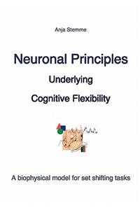 Neuronal principles underlying cognitive flexibility