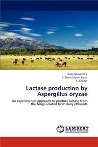 Lactase production by Aspergillus oryzae