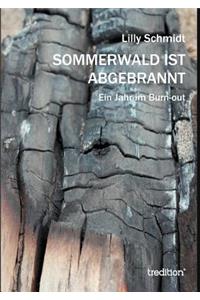 Sommerwald ist abgebrannt