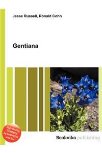 Gentiana
