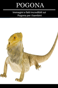 Pogona