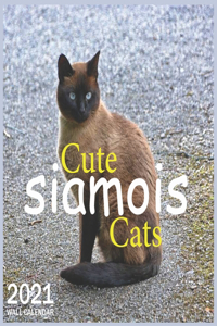 Cute siamois Cats