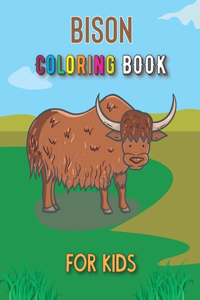 Bison Coloring Book For Kids