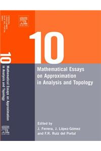Ten Mathematical Essays on Approximation in Analysis and Topology