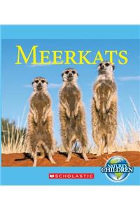 Meerkats