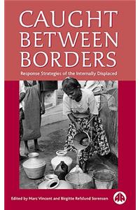 Caught Between Borders: Response Strategies of the Internally Displaced