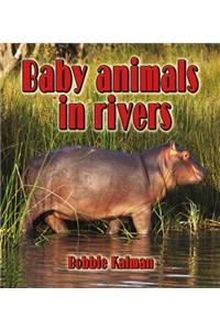 Baby Animals in Rivers