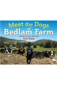 Meet the Dogs of Bedlam Farm