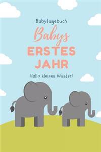 Babytagebuch Babys Erstes Jahr Hallo Kleines Wunder