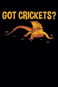 Got Crickets?