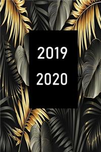 2019 / 2020