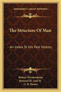 Structure Of Man