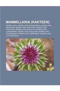 Mammillaria (Kakteen)