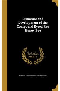 Structure and Development of the Compound Eye of the Honey Bee