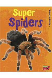 Super Spiders