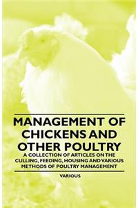 Management of Chickens and Other Poultry - A Collection of Articles on the Culling, Feeding, Housing and Various Methods of Poultry Management