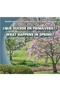 ¿Qué Sucede En Primavera? / What Happens in Spring?