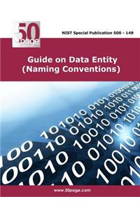 Guide on Data Entity (Naming Conventions)