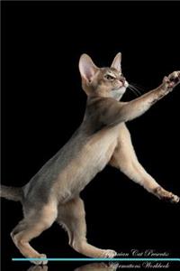 Abyssinian Cat Affirmations Workbook Abyssinian Cat Presents