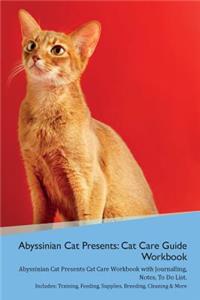 Abyssinian Cat Presents