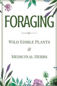 Foraging