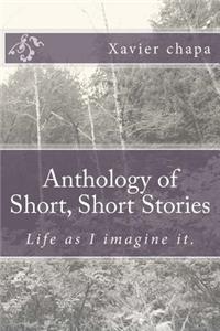 Anthology of Short, Short Stories: Life as I Imagine It.