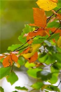 Multiple Leaves Journal