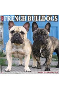 Just French Bulldogs 2019 Wall Calendar (Dog Breed Calendar)