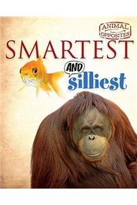 Smartest and Silliest