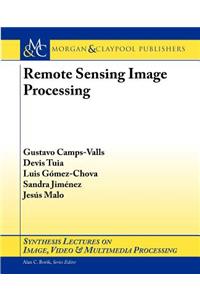 Remote Sensing Image Processing