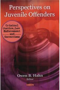 Perspectives on Juvenile Offenders