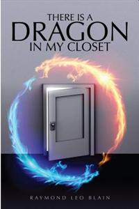 There Is a Dragon in My Closet