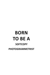 Born To Be A Softcopy Photogrammetrist