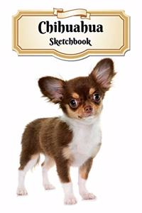 Chihuahua Sketchbook