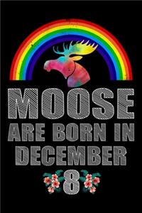 Moose Are Born In December 8
