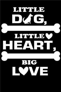 Little Dog, Little Heart, Big Love
