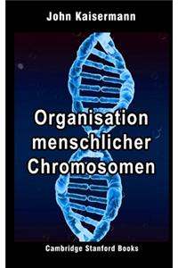 Organisation menschlicher Chromosomen