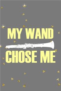 My Wand Chose Me